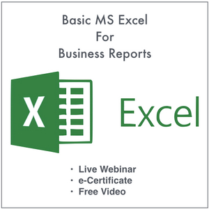 Basic MS Excel for Business Reports + Video Webinar (10/17/2020)