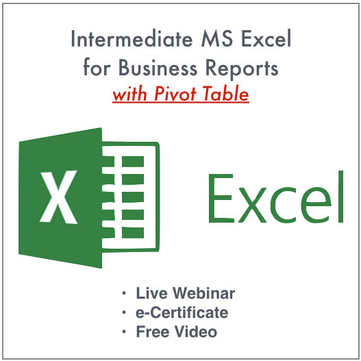 MS Excel Pivot Table (2 hours)