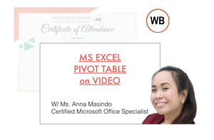 Video Webinar Series: MS EXCEL PIVOT TABLE